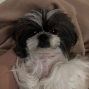 Meet your Posher, Alexis